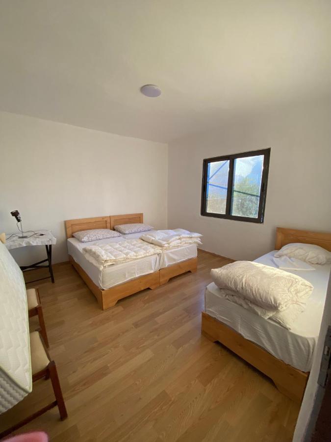 Rupa Guest House Camping Shkodër Eksteriør bilde